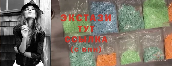 гидра Богородск