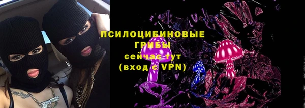 индика Всеволожск