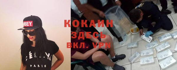 гидропоника Белокуриха