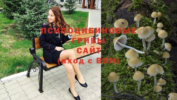 мефедрон Богородицк