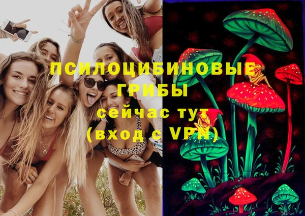 mdpv Бронницы